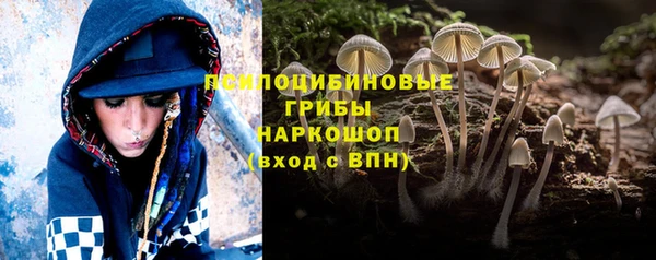 амф Елабуга