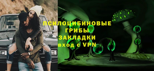 амф Елабуга